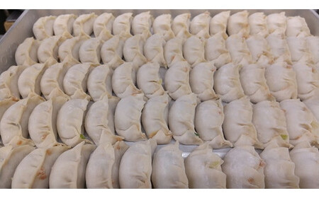 手作り冷凍生餃子 60個 計1.47kg｜餃子