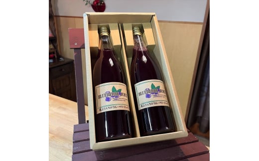 ブルーベリージュースセット【 飲み物 ジュース 神奈川県 海老名市 】