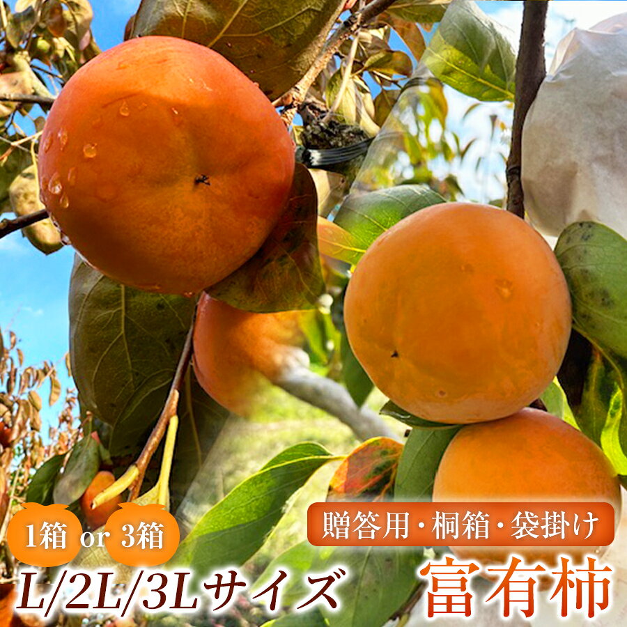 【ふるさと納税】【贈答用】 富有柿 ( 選べるサイズ・容量 ) 先行予約 令和8年11月中旬順次発送 |【お歳暮やご挨拶に選ばれる】 完熟収穫が生む格別な甘み 柿 富有柿 フルーツ 果物 完熟 国産 贈答用 贈り物 手土産 ギフト プレゼント お歳暮 季節の果物 岐阜県 北方町