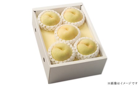 74-12 清水白桃5～7玉（計1.5kg以上）【2025年7月中旬～7月下旬発送予定】