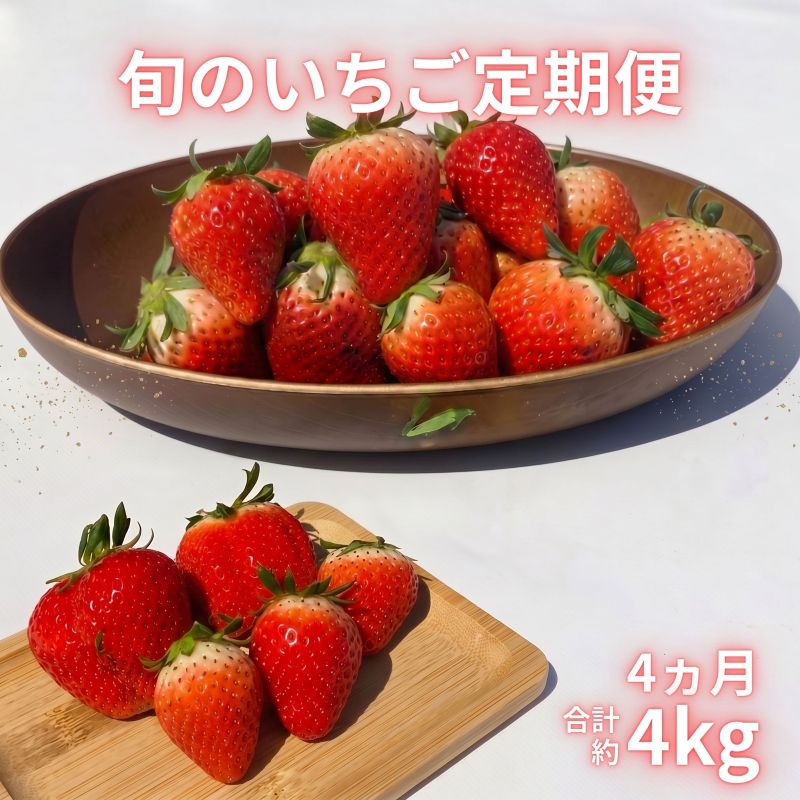 【ふるさと納税】 先行予約 とちおとめ やよいひめ 旬のいちご定期便 4か月 毎月 約1kg 朝摘み 朝採り 産直 産地直送 果物 果実 甘い ストロベリー フルーツ くだもの ギフト プレゼント グルメ 贈答 苺 ふるさと納税苺 千葉県 銚子市 神原いちご園 【2027年1月~4月発送】