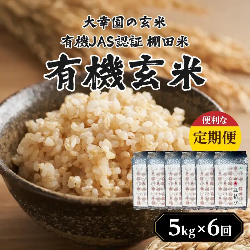 大幸園の玄米 6回定期便 有機JAS 認証 有機米 棚田米 5kg 米 国産 玄米 有機栽培 無農薬 甘い お米 九州産 オーガニック 福岡県 八女市 184-T004