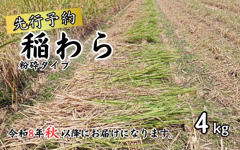 
                  【先行予約】岩美町産コシヒカリの稲わら （粉砕タイプ）４kg｜鳥取 岩美 稲わら わら 藁 家庭菜園 お届けは2026年10月～【34007】
                