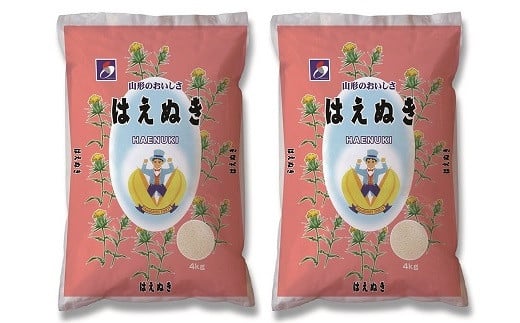 【定期便】令和６年産 はえぬき８ｋｇ（４ｋｇ×２袋）×３か月連続お届け　0059-2433