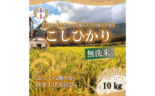 ＜令和7年産＞山崎農園のこしひかり(無洗米・10kg) 【鳥取県 境港市】