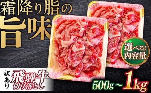 飛騨牛 切り落とし 1kg（250g×4パック） 等級 部位お任せ 牛肉 岐阜市 / だるまミート [ANBE036]