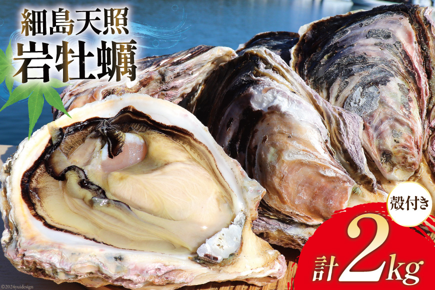 
                  牡蠣 細島天照岩牡蠣 2kg 殻付き 【期間限定発送】[一福丸 宮崎県 日向市 452061387] 生食 かき カキ 生牡蠣 岩牡蠣 岩ガキ 貝 海鮮 魚介 魚介類 冷蔵 新鮮 ふるさと納税 濃厚 クリーミー BBQ 期間限定 細島 ほそしま 日豊海岸
                