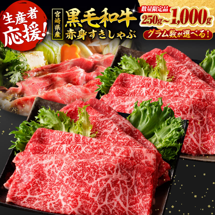 【ふるさと納税】※発送月・内容量が選べる※ 生産者応援！宮崎県産黒毛和牛赤身すきしゃぶ250g～1kg - 数量限定 肉 牛肉 すき焼き しゃぶしゃぶ 国産 九州産 宮崎県産 送料無料 宮崎県川南町 C00628 C00629 C00630 C00631 C00632 C00633 C00681