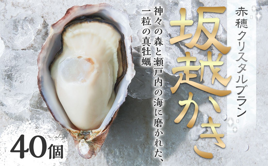 
            牡蠣 坂越かき 赤穂クリスタルブラン 40個 カキ 牡蠣 かき 海の幸 魚介 貝 【2026年6月下旬～2026年10月下旬まで発送予定】
          
