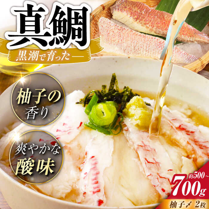 【ふるさと納税】土佐黒潮真鯛の柚子〆　2枚（約500〜700g）【株式会社　羽根】[ATCK016]