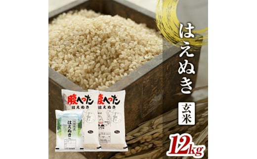 令和7年産【玄米】はえぬき　12kg(5kg×2袋+2kg×1袋) YA SE0455