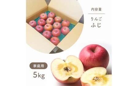 【2025年先行予約】訳あり ザ・王道 りんご サンふじ 家庭用 5kg 千曲市産りんご 信州りんご 林檎 長野のりんご 美味しいリンゴ フルーツ くだもの