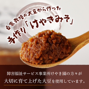 手作り　無添加　けやきみそ　1kg(500g×2個)　みそ 大豆 無添加 米麹 食塩 手作り 味噌 無添加 大豆 食塩 山梨 富士吉田