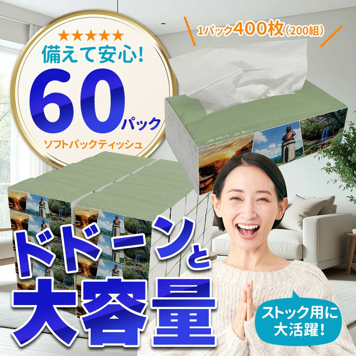 【令和8年4月～出荷】ティッシュペーパー ピュアパルプ ソフトパックティッシュ 60パック×400枚 200組 柔らか コンパクト 日用品 必需品 まとめ買い 常備品 備蓄 防災グッズ 熊本県 小国町
