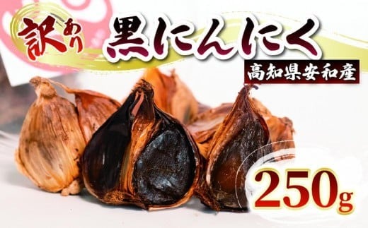 
訳あり 黒にんにく250g あわ地区 野菜 高知 須崎
