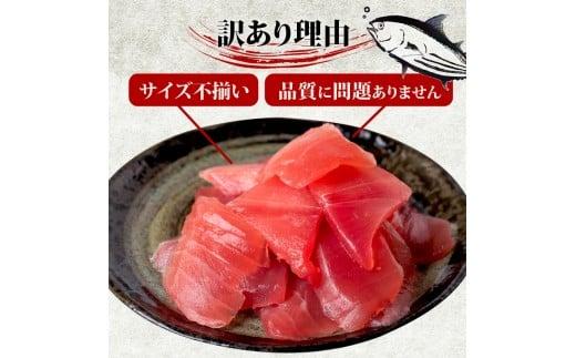 【 訳あり 】 ビンチョウマグロ 切り落とし 500g（ 100g 5パック ） キハダ マグロ サイズ 不揃い TY066