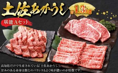 【3ヶ月定期便】 出荷数0.02％の奇跡 土佐あかうし 堪能 A セット （和牛 サーロイン すき焼き用 約500g 、和牛サーロインステーキ 約200g ×2、和牛カルビ焼肉 約200g ／ モモ焼肉 約200g） 計1.3kg 赤身 お肉 肉 牛肉 牛 あか牛 高知県 冷凍 香美市