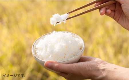 【全3回定期便】とくべつの中のとくべつ 糸島 特別栽培米 5kg （ 夢つくし ）《糸島》【itoshimacco / 株式会社やました】 [ARJ027]