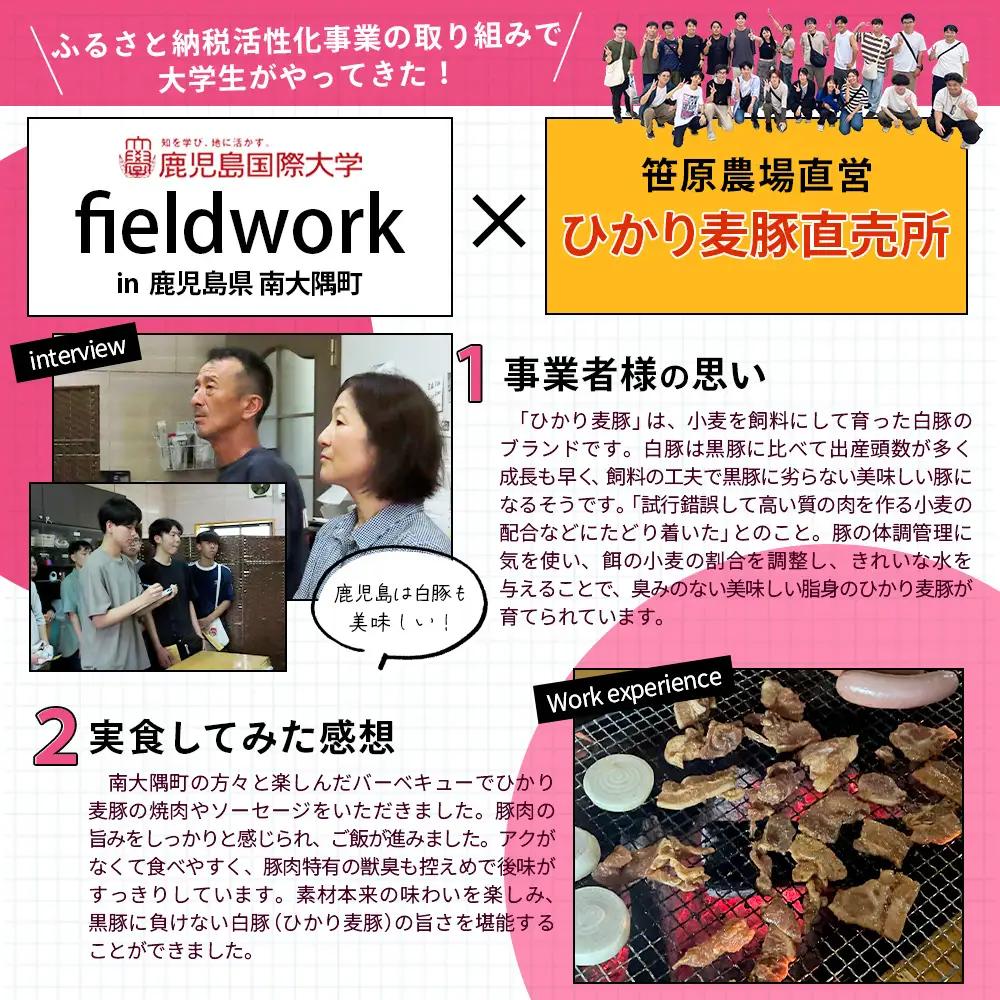 【スピード発送】鹿児島県産 ひかり麦豚 ロース三昧セット6種類 （200g×6パック）計1.2kg トレーなし 冷凍 HM-12 | 最短 7日以内 1週間以内精肉 肉 お肉 にく 豚肉 ロース肉 ロ