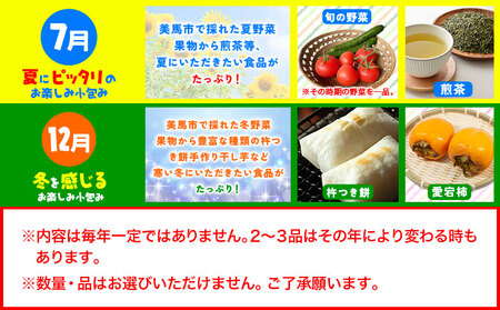 【計2回定期便】ふるさと小包詰め合わせ 年2回 7月・12月便 美馬市ふるさと小包推進協議会《年2回定期便：7月出荷、12月出荷》
