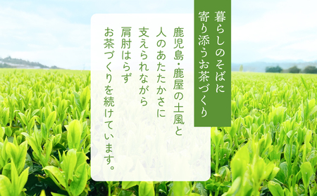 お茶 農家 の 水出し 緑茶 ティーバッグ（ 1番茶 使用 500ml対応 ） KN166-002-01 水出し緑茶 ブレンド リーフ 粉末茶 やさしい お茶農家 岩元園 ふるさと納税 鹿児島 鹿屋市
