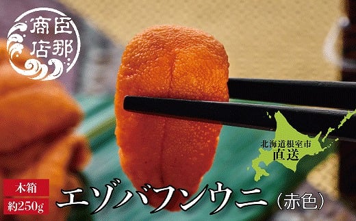 
            F-22001 エゾバフンウニ(赤色)約250g×1折
          