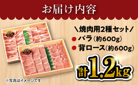 【 訳あり 】焼肉 用 大西海 SPF豚 背ロース ＆ バラ （ 焼肉 用）計1.3kg（各650g）＜大西海ファーム＞[CCY007] 長崎 西海 豚 SPF豚 ブランド豚　焼肉 赤身 焼肉 豚肉 