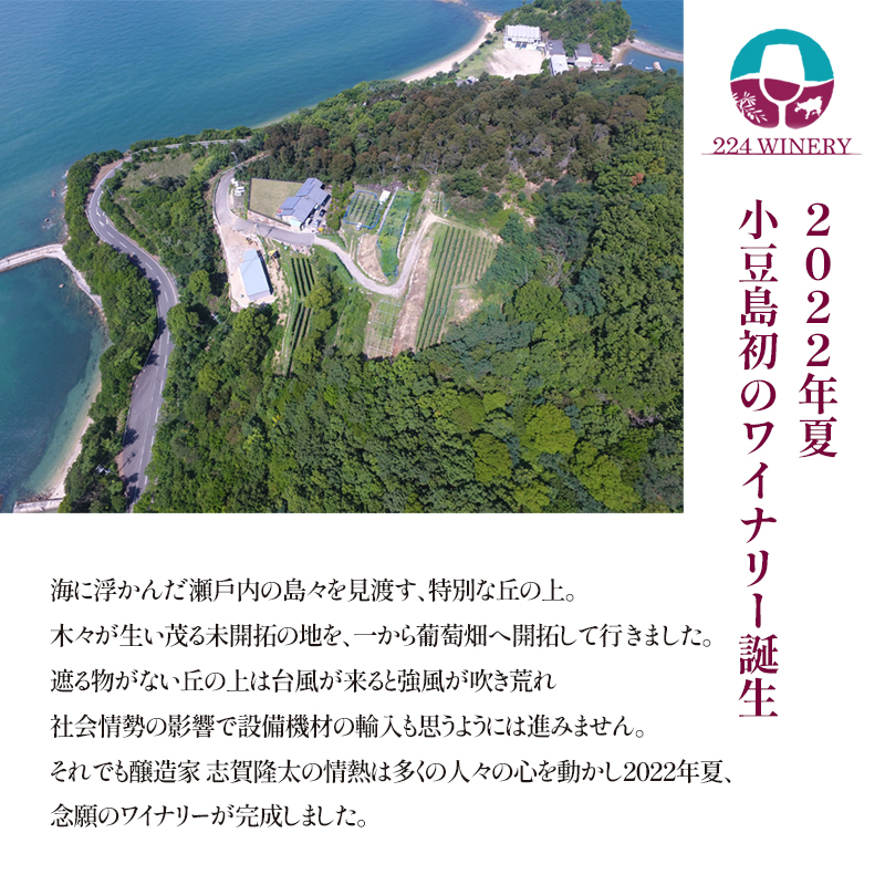 島醸造 メルロー 2024 720ml 小豆島醸造 赤ワイン 日本ワイン 化粧箱入り お酒 酒 ワイン 熟成 贈り物 ギフト 国産 香川 香川県 土庄 土庄町
