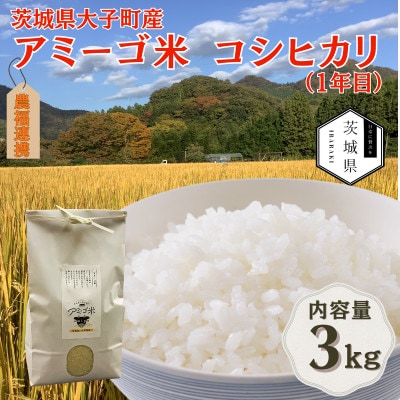 令和7年産新米 アミーゴ米3kg(コシヒカリ・天日干し米(1年目))栽培期間中農薬・化学肥料不使用【配送不可地域：離島・沖縄県】