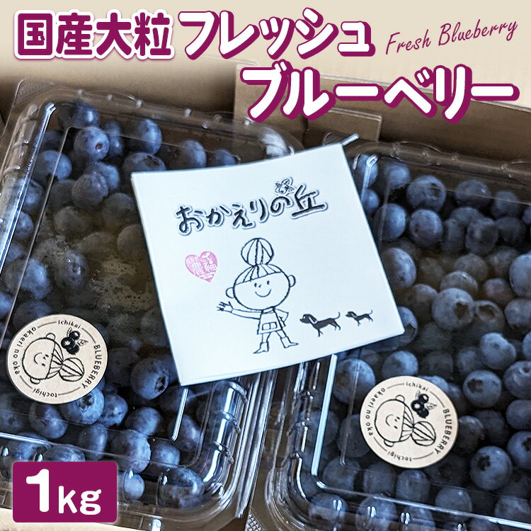 【ふるさと納税】【先行予約】栃木県市貝町「おかえりの丘」フレッシュブルーベリー1kg◇ ｜ 国産 フルーツ 果物 果実 手摘み くだもの ベリー 新鮮 自然栽培 無施肥 無農薬栽培 ギフト 贈答 送料無料【冷蔵】 ※離島への配送不可 ※2025年6月中旬頃より順次発送予定