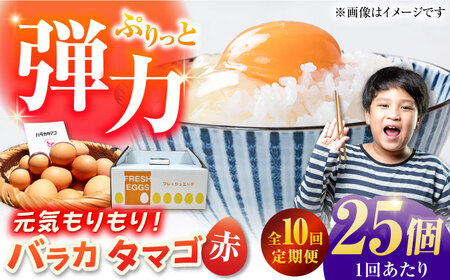 【10回定期便】【箱入り】バラカタマゴ 25個入 M-Lサイズ 卵 玉子 たまご 国産 五島市 / 五島列島大石養鶏場[PFQ059]  玉子 タマゴ 鶏卵 希少 五島列島