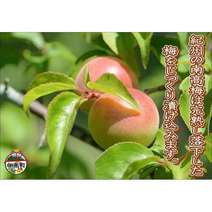 訳あり 【家庭用】紀州南高梅　かつお梅　1.2kg