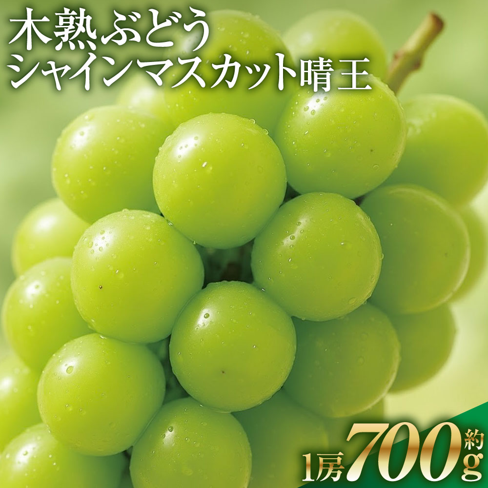 【ふるさと納税】木熟ぶどう ハレノシャイン シャインマスカット晴王 1房 約700g ぶどう ブドウ 葡萄 フルーツ くだもの 果物 果実 デザート 冷蔵 岡山県産 国産 岡山県 倉敷市 送料無料 【2026年9月上旬～10月下旬発送予定】