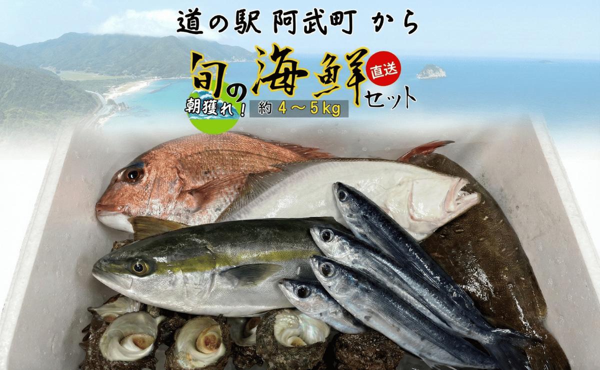 
                  【鮮魚セット】約4～5kg 当日水揚げ 海鮮詰め合わせ 阿武町産 獲れたて 産地直送 冷蔵 旬 詰合せ
                