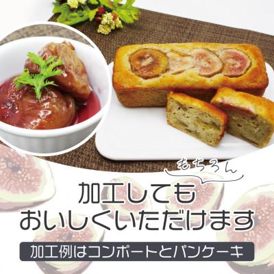 ふるさと納税 太宰府市 訳あり冷凍いちじく「とよみつひめ」2kg(太宰府市) |  | 02