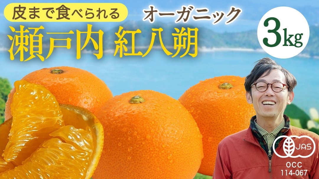 
            瀬戸内 オーガニック 紅八朔 3kg みかん オレンジ 国産 有機JAS認証 有機栽培 柑橘 八朔 ハッサク はっさく 果物 フルーツ 広島 大崎上島
          