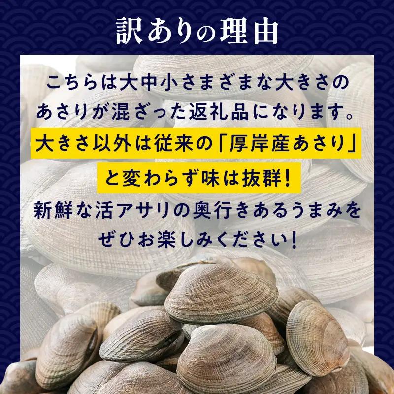 訳あり 活あさり 500g×2 (合計1kg) 砂出し済み 冷蔵 あさり