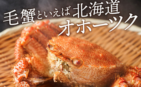 ☆北海道産 毛ガニ 約500g×2尾 セット かに 蟹 毛蟹 冷凍 北海道産 浜頓別町