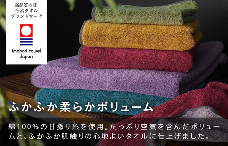 （今治タオルブランド認定）日本の伝統色　バスタオル2枚セット＜威光茶×紫紺色＞【ID05390BT2G】