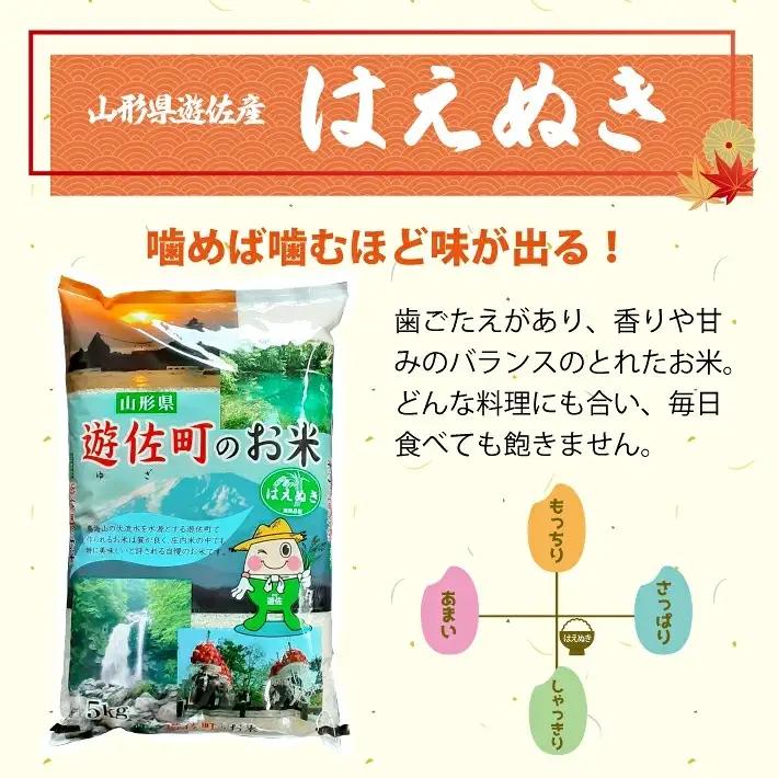 （11月～1月）≪新米予約≫ ≪3ヶ月定期便≫ はえぬき 5kg×3ヶ月連続 計15kg 山形県遊佐産 ご希望期間の毎月中旬頃お届け 東北 遊佐町 庄内地方 庄内平野 米 お米 精米 白米 庄内米 ご