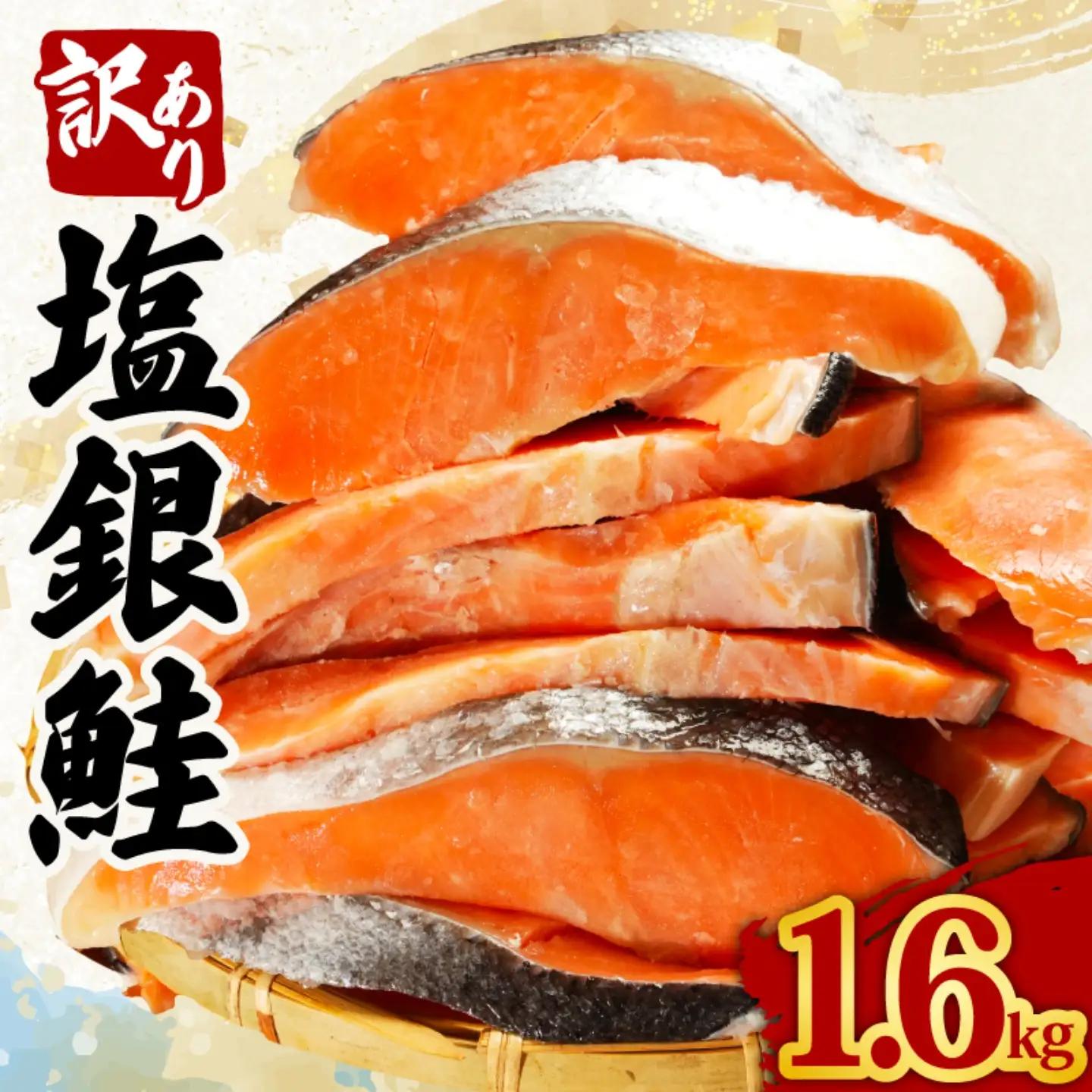 訳あり 銀鮭 1.6kg 鮭