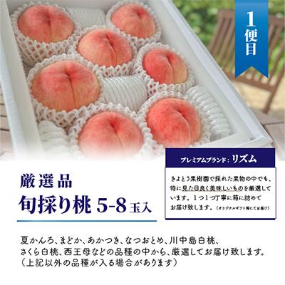 ふるさと納税 真庭市 【発送月固定定期便】【2026年先行予約】桃、ぶどう、梨の最上級品を旬にお届け!(岡山県産)全3回 |  | 01