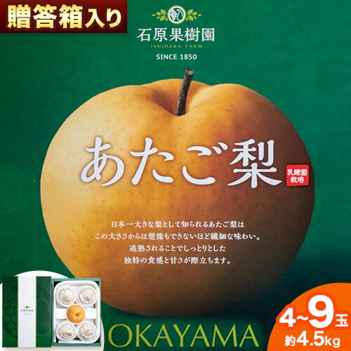 【ふるさと納税】【2025年先行予約】梨 あたご梨 4 から 9玉 計4.5kg 贈答箱 石原果樹園 《2025年11月中旬-1月上旬頃より発送予定》岡山県 浅口市 フルーツ 果物 ギフト 贈り物 国産 岡山県産 送料無料