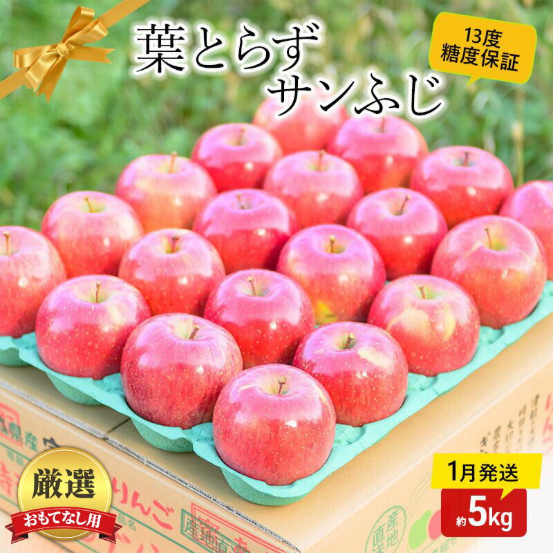 【ふるさと納税】【 1月発送 】 糖度13度以上 おもてなし用 家庭用 葉とらず サンふじ 約 5kg 【 青森りんご 】 果物 フルーツ デザート 食後 青森県産 産地直送　お届け：2026年1月20日頃～2026年1月31日