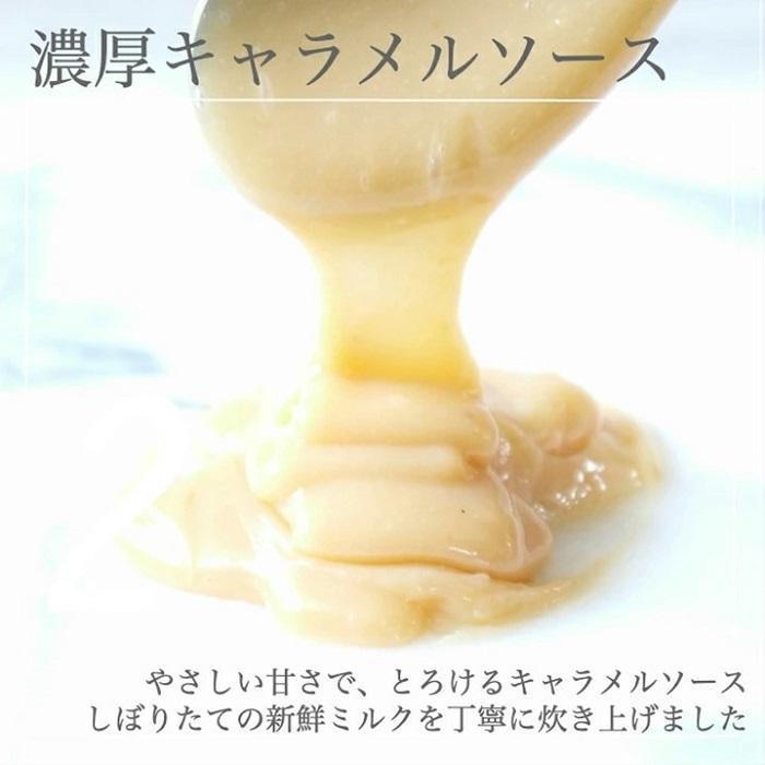 【AB992】【定期便／全3回】平戸ミルクの キャラメル ブリュレ 6種セット / 心優 －Cotoyu Sweets－