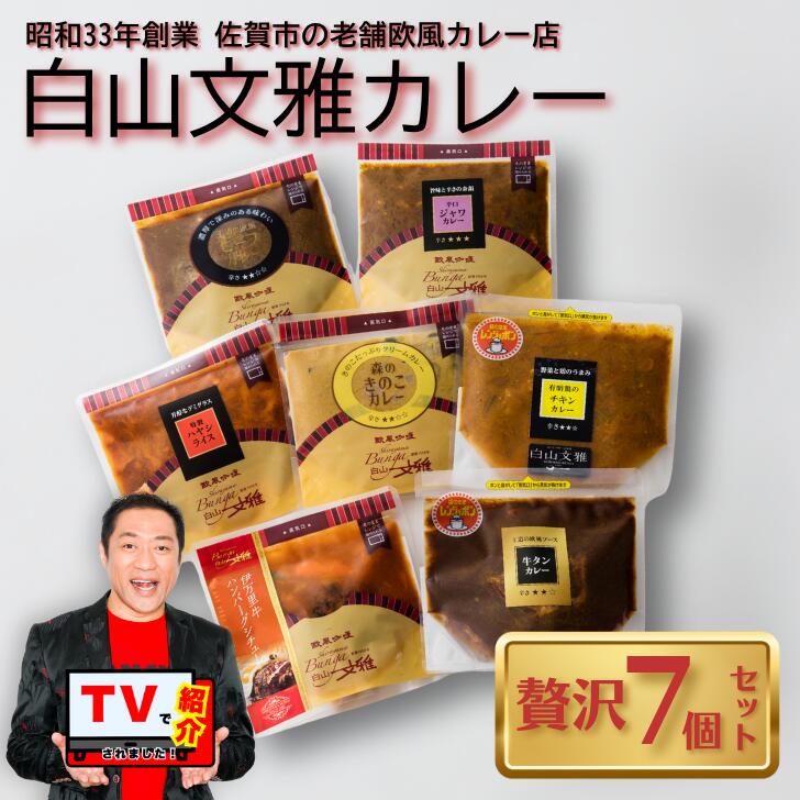 【ふるさと納税】白山文雅カレー 贅沢7個セット：B325-001