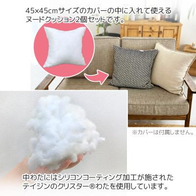 ふるさと納税 蒲郡市 ヌード 中材 背当クッション 帝人 クリスター2個セット_【G0814】 |  | 01