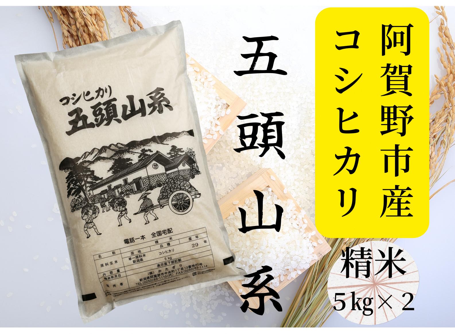 
            【令和7年産新米】【新潟産コシヒカリ】10kg「五頭山系」 米屋のこだわり阿賀野市産 米屋かたぎり 9月中旬より順次発送 1E02035
          