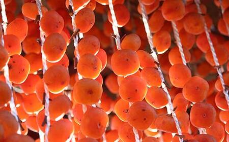 山形県産 紅柿 4個入×4袋 Lサイズ 計480g F2Y-6170