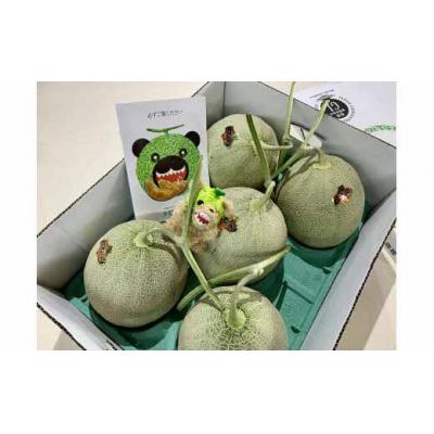 ふるさと納税 夕張市 【先行予約受付中】メロン熊ストラップゴールドと夕張メロン大箱8kg(等級:優　4〜6玉入り)W40